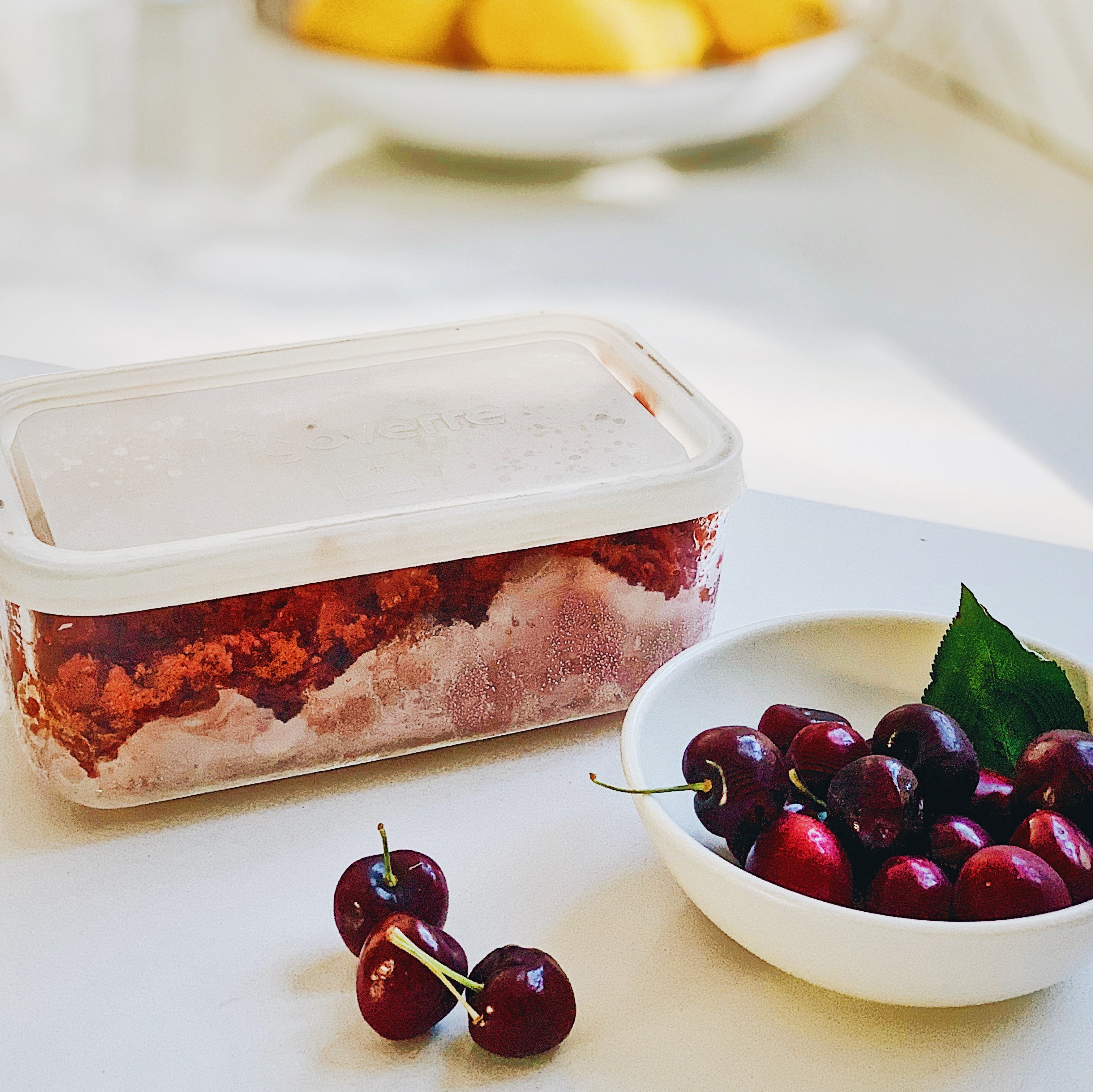 The Granita Container Kit